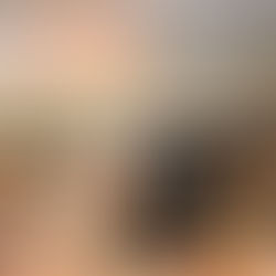 מובינג קפה – נקודת מפלט בצפון הישן של תל אביב