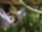 62193547_2970711002946828_8870052483599171584_n_edited.jpg