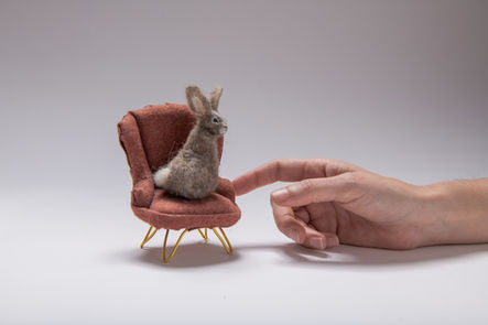 ארנב על כורסא