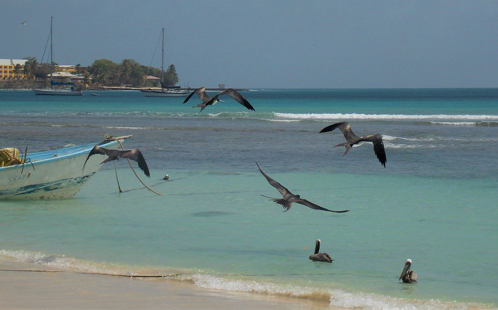 Trinidad y Tobago