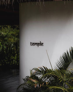 YAMABALIAN_SURROUNDINGS_-04937
