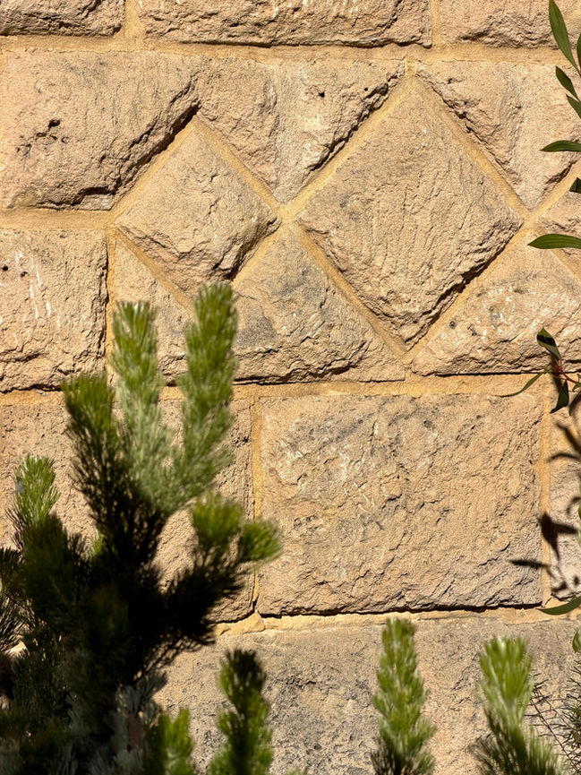 yoxall landscape architecture and garden design east fremantle western australia pool design native desgin 01