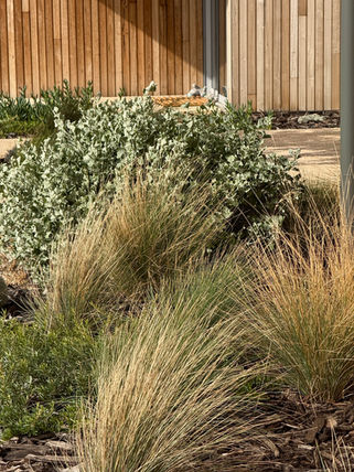 "Yoxall Landscape Architecture – Sunken Firepit, Outdoor Seating and Water Wise Native Garden Design in Natural Rural Landscape, Margaret River WA