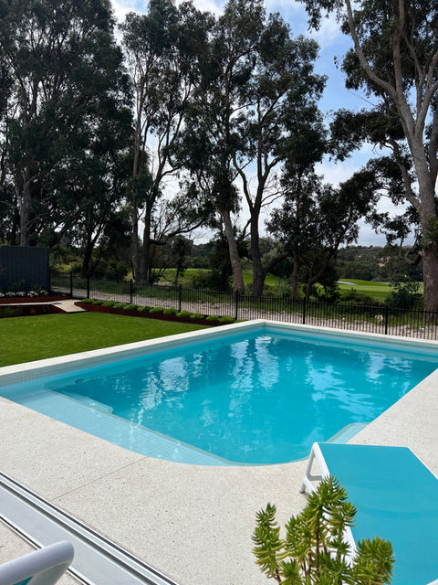 Garden with built in concrete seating native water wise planting and custom concrete Pool and Garden Designer in Perth Western Australia