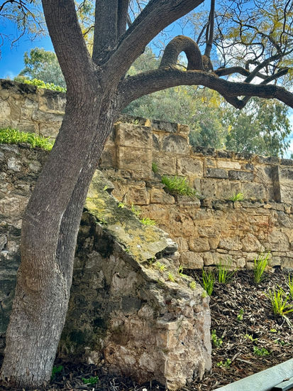 Heritage garden design Fremantle and Perth 