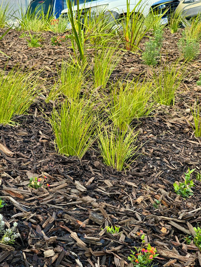 Landscape architecture and garden design Fremantle 