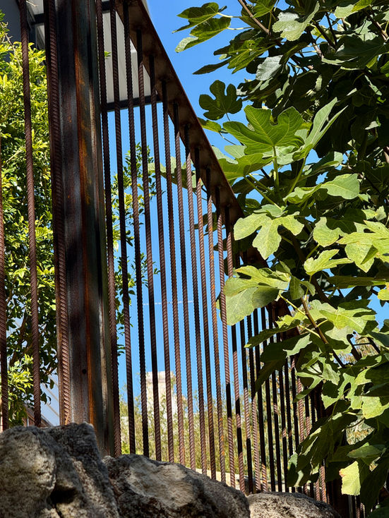 Fremantle garden and pool design by yoxall landscape architecture native garde, pool and heritage design in Perth Western Australia, Perth Landscape Design 01.