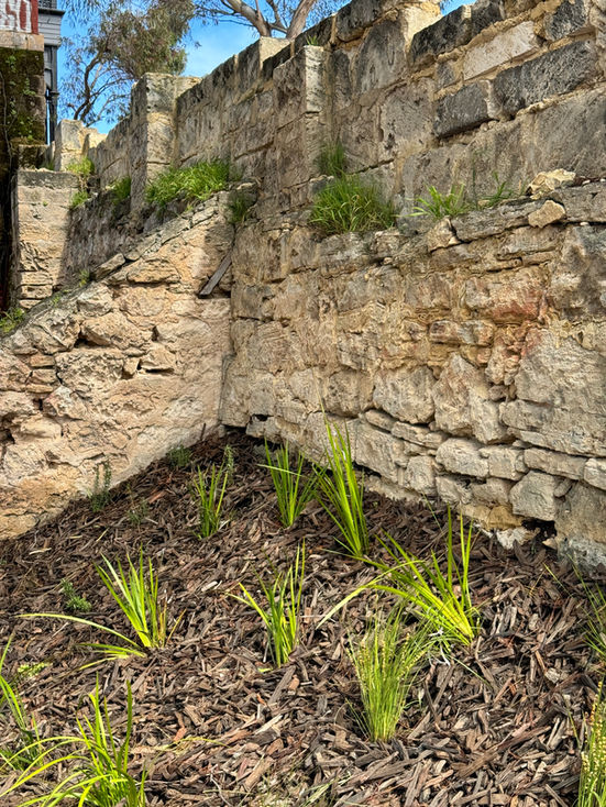 Landscape design Fremantle 