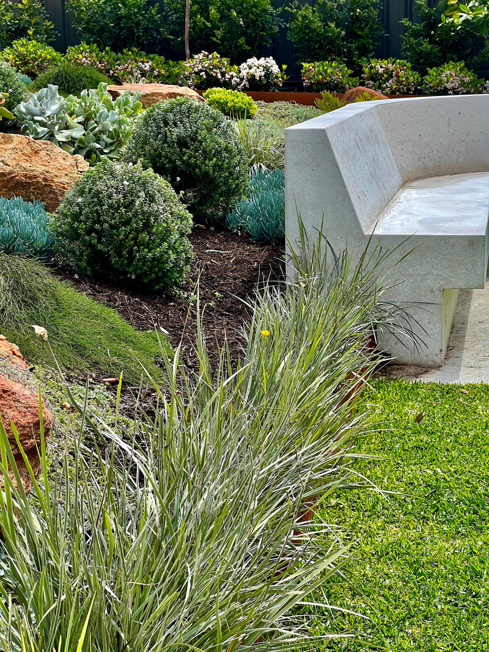 Joondalup landscape design by Yoxall landscape architecture perth western australia built in seat, pool and courtyard design 01