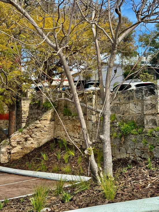 Garden design Fremantle 