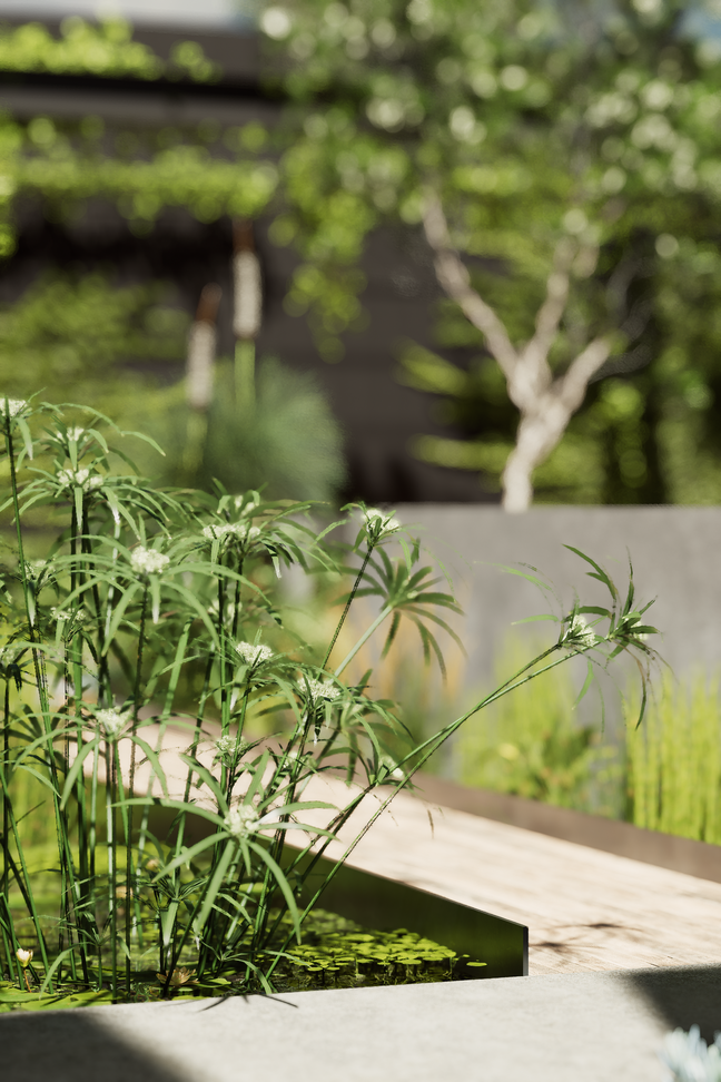 a plant with a lot of green leaves and white flowers