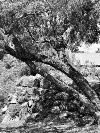 YOXALL LANDSCAPE ARCHITECTURE AND GARDEN DESIGN - BUNKER BAY WESTERN AUSTRALIA 