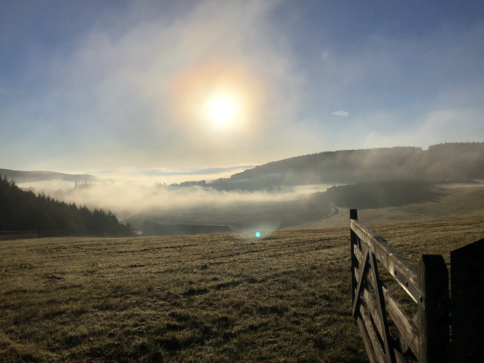 View overlooking Upper North Tyne Valley