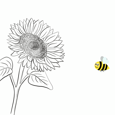 spring bee gif