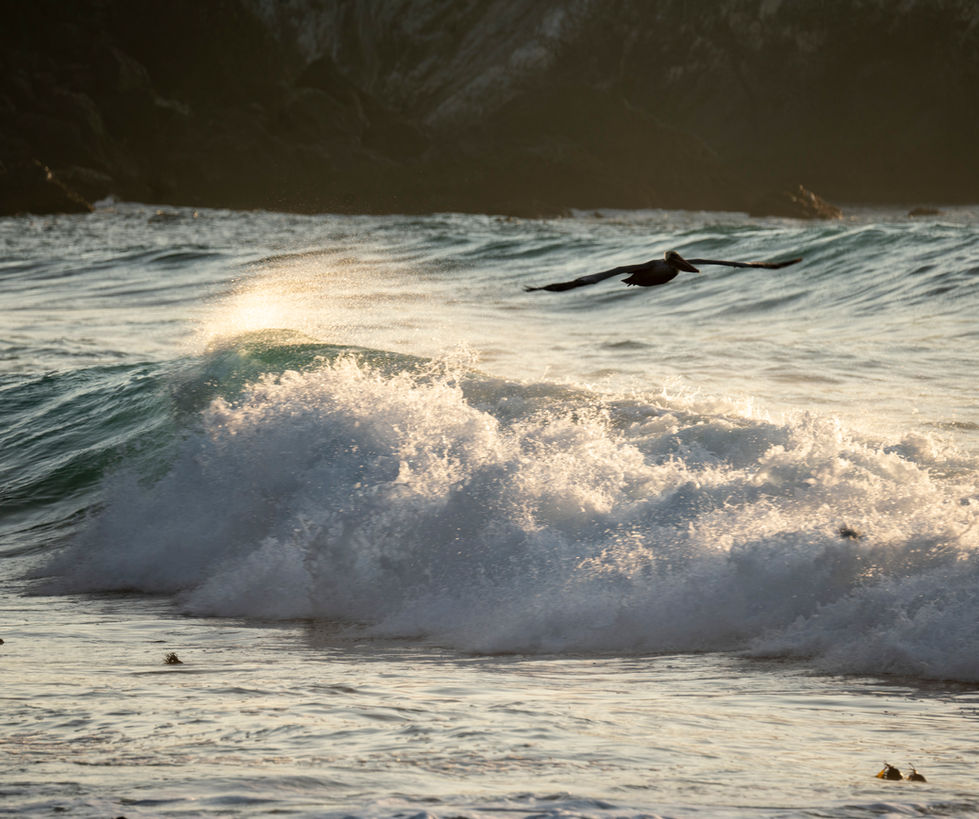 Surfer riding a wave in the ocean.