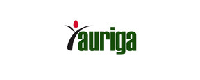 Auriga.jpeg