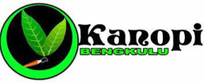kanopi (1).jpeg