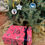 Miniatura: Papel de regalo ‘Toile Pink’