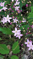 20210815_142339_1.jpg
