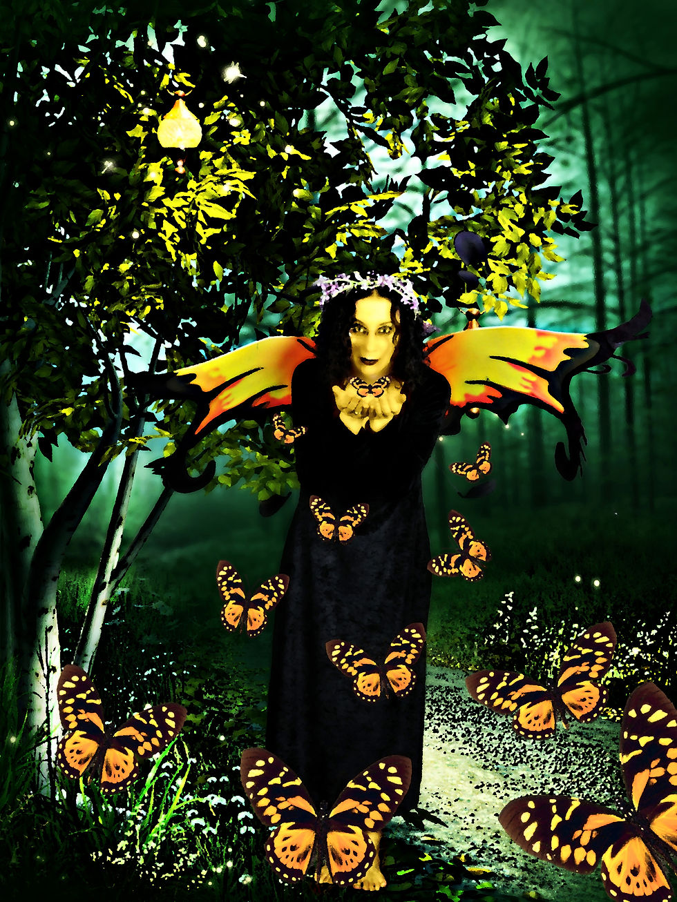 Queen of the Butterflies