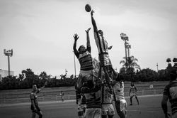 IMG_8493