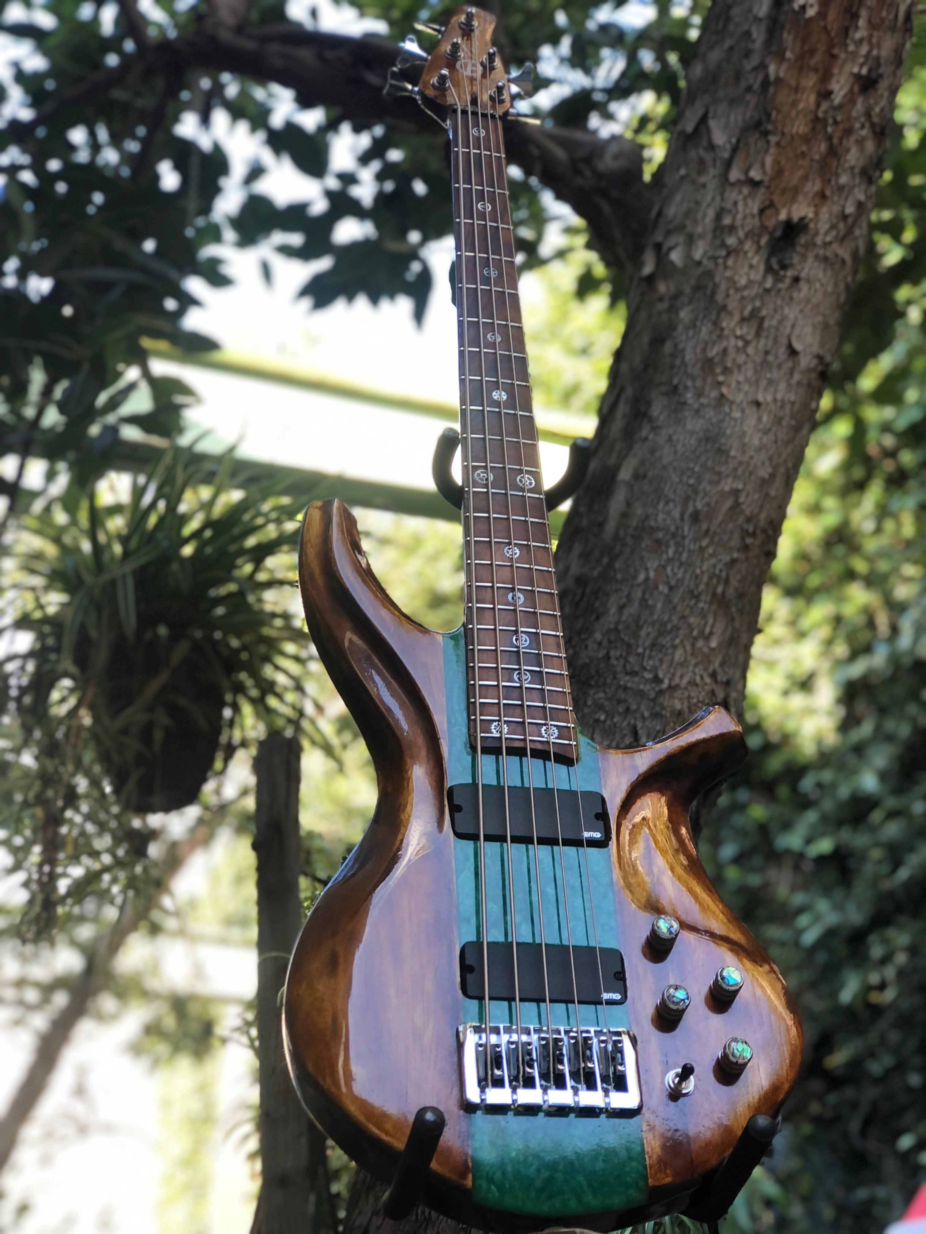 Toro's 5 String Bass