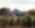 0E0A8393-Enhanced-NR_edited.jpg