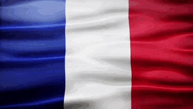 france-flag-gif.gif