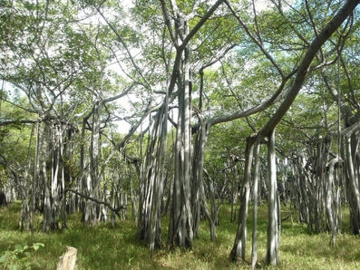 Atividades públicas previstas para setembro, outubro, novembro e dezembro de 2017