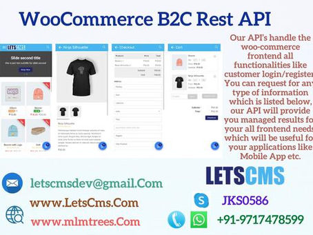 Business to Customer Rest API for Woocommerce | B2C Rest API Plugin Cheap Price USA