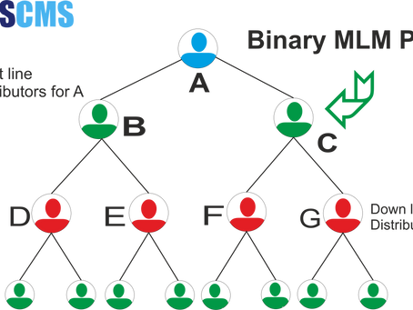 Best mlm plan | Binary MLM Software | Binary mlm Calculator Plan
