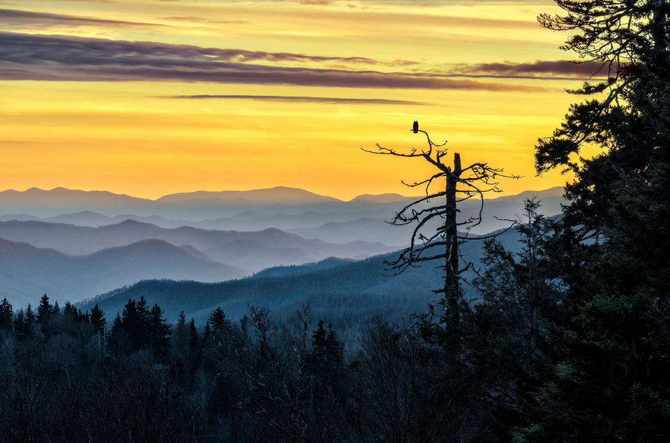 Cherokee Smoky Mountains (1).jpeg