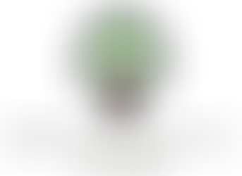 Important Update: Pandolfi Counseling Has a New Phone Number