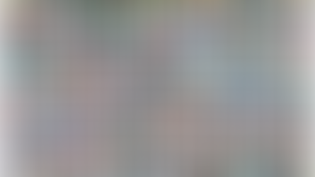 Cele mai multe picturi într-un an