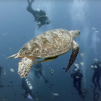 Снимок экрана 2021-09-29 в 16.20.00.png