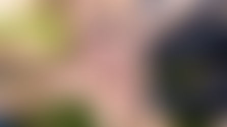 Cea mai mare familie