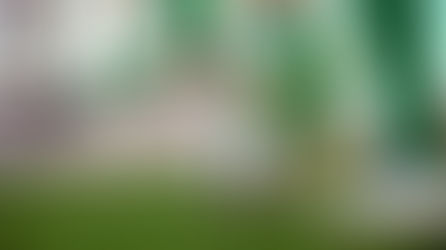  Cel mai lung meci de fotbal