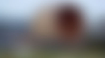 Cel mai mare butoi de vin din lume, va apărea în curând într-un sat din raionul Strășeni.