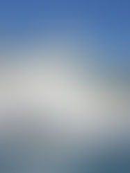 Royal Caribbean Cruise Ship