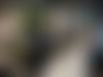 A hotelier welcoming his guests