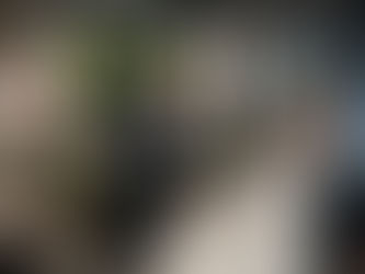 A hotelier welcoming his guests