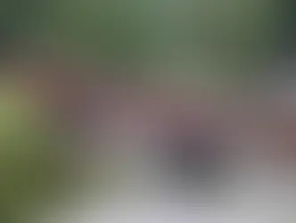 Alisahan Forest Railway in Taiwan