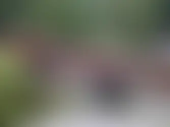 Alisahan Forest Railway in Taiwan