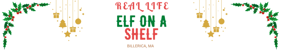 RESERVE YOUR ELF NOW-7.png
