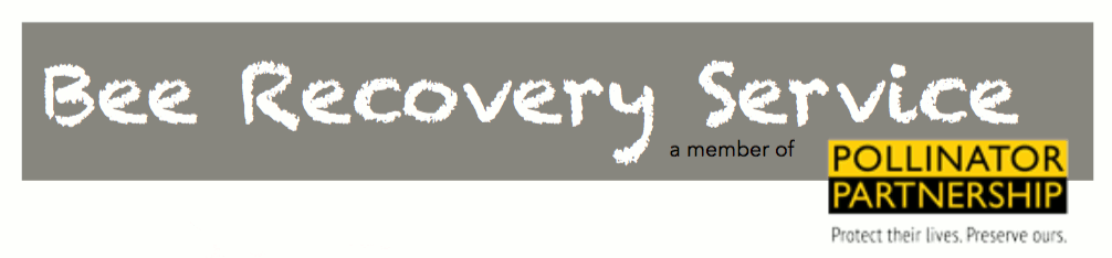 Bee Recovery Service Logo.gif