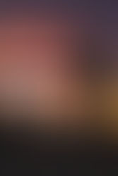 Guest Blog: Carley-Ann Osborn