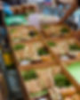 picnic boxes-5.jpg