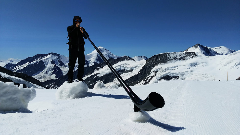 ALPHORN_139.jpg