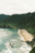 Pacific ocean shore meeting a conifer forest