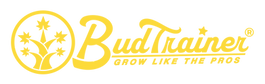 Logo Yellow on Transparent (4).png